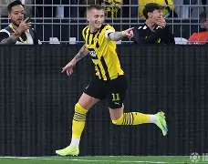 问鼎国际- 沙与沫美句赏析 